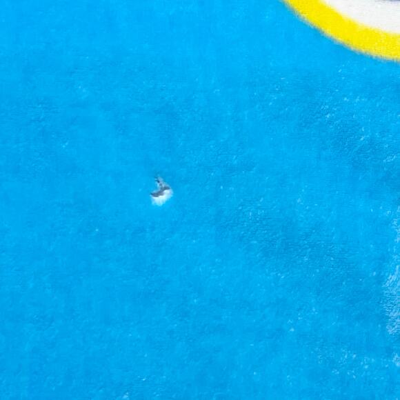 PAW PATROL Soft Plush Blue Throw Blanket 75x58" Silky Comfy - Picture 6 of 9